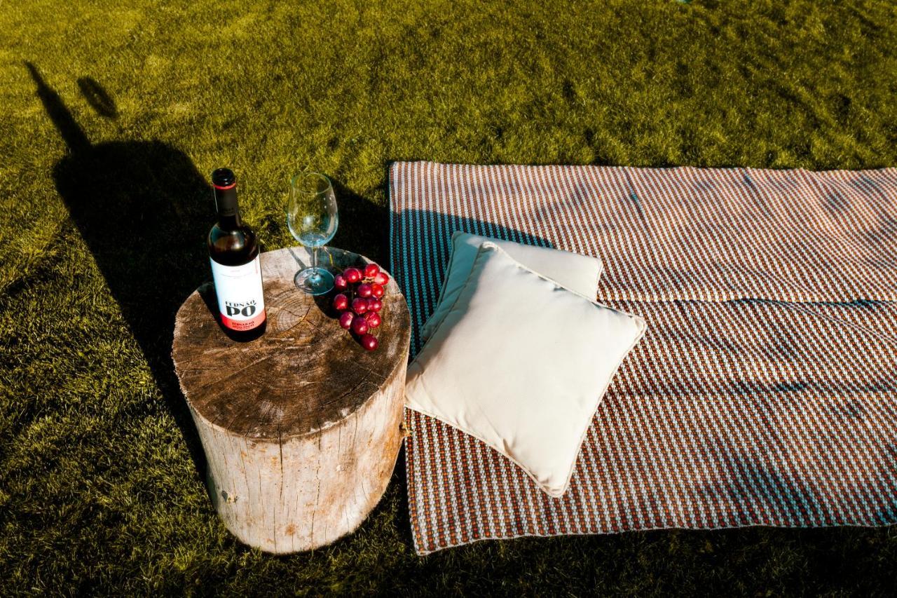 Águas de Moura Delmira Vineyard House 빌라 외부 사진