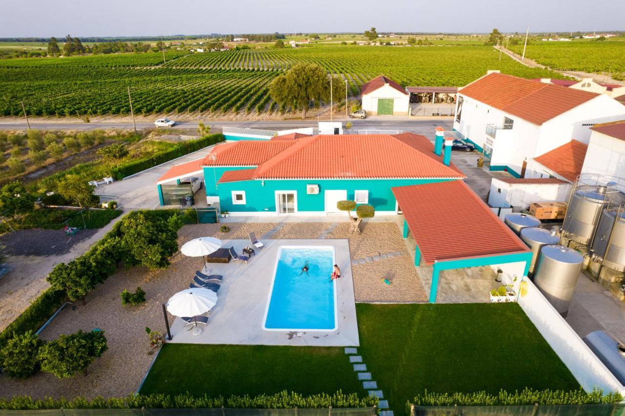 Águas de Moura Delmira Vineyard House 빌라 외부 사진